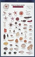 Mac's Field Guides to Northeast Coastal Invertebrates 0898862159 Book Cover