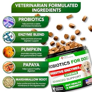 Probiotics for Dogs - Dog Probiotics and Digestive Enzymes for Gut Health, Itchy Skin, Allergies, Immunity, Yeast Balance - Prebiotics - Reduce Diarrhea, Gas - 120 Probiotic Chews Supplement for Dogs Probiotics for Dogs – Dog Probiotics and Digestive Enzymes for Gut Health, Itchy Skin, Allergies, Immunity, Yeast Balance – Prebiotics – Reduce Diarrhea, Gas – 120 Probiotic Chews Supplement for Dogs