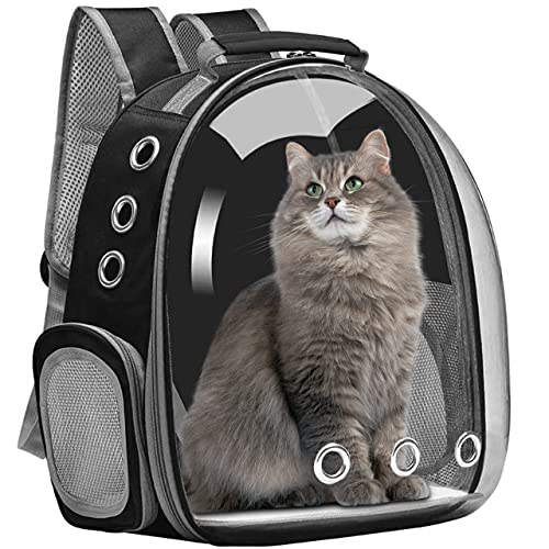 tiny backpack for cat to wear