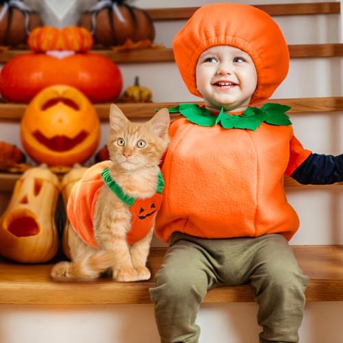 Disfraz de Calabaza para Perros Pequeños y Medianos Halloween miniatura 4