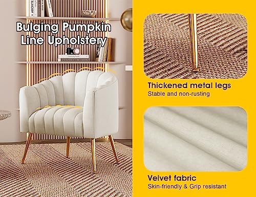 Image of Dewhut Oversized Pumpkin Couch Accent Chair, Modern Comfy Velvet Upholstered Barrel Chairs, Luxury Single Sofa Armchair for Living Room, Waiting Room, Office and Vanity, (Beige)