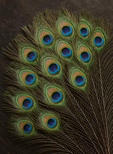 Best Janmashtami Decorations from Amazon India 36 15 Pcs Real Peacock Feather Original Feathers morpankh for Craft ...