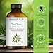 Majestic Pure Tea Tree Essential Oil with Glass Dropper - Huge 4 Fl Oz - 100% Pure and Natural Tea Tree Oil - Premium Grade Essential Oils for Diffuser, Aromatherapy, Soap and Candle Making