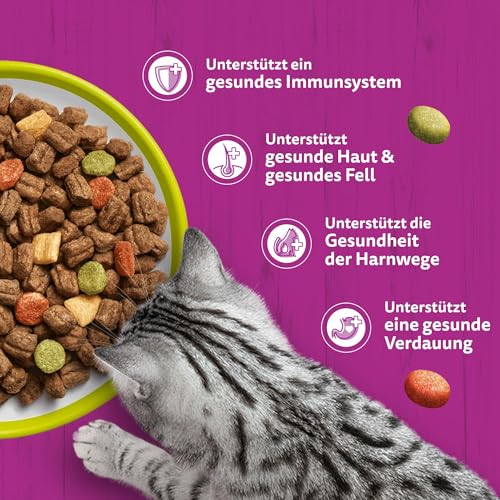 WHISKAS Trockenfutter für ausgewachsene Katzen 5 x 800g mit Lamm