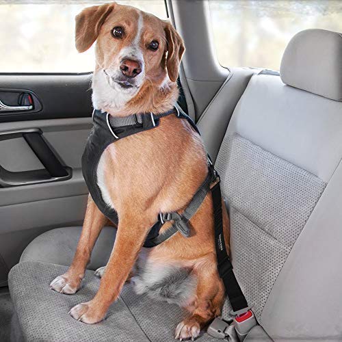 Deluxe Vehicle Safety Harness The Hiker Box, 59 OFF