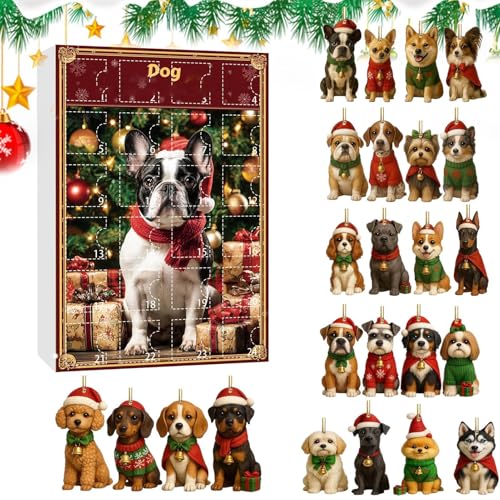 NX}XI[ig JEg_EJ_[ - AN2Dtbgp[eB[ - 24Ԃ̃JEg_ENX}X܂ł̌̑J_[Aǂ̃hAA}g̖؁AybgDƁAq