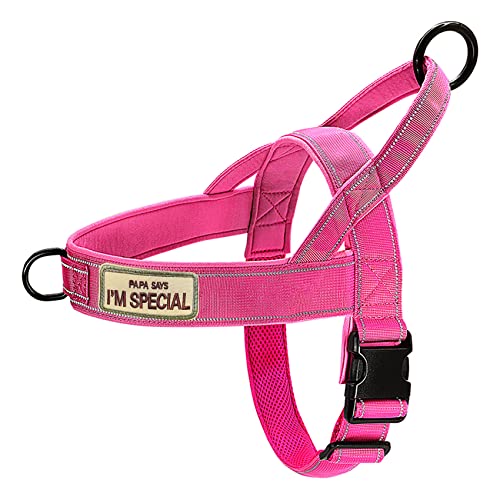 No Pull Dog Harness Pink for Small Medium Large Sized Dog, Reflective Escape Proof Adjustable Dog Harnesses with 2 Patch, L