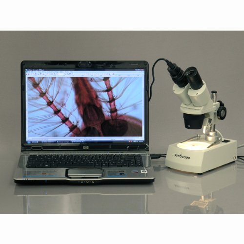 Image secondaire de AmScope 20 x 40 x 80 x Home School de Dissection pour étudiants Microscope binoculaire stéréo avec Transmission Incident Double