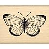 Florilèges Design FC114005 Scrapbooking-stempel, vlinder, beige