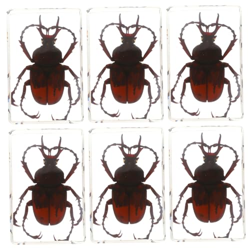 ULTECHNOVO 6pcs Resin Beetle Spider Scorpion in Resin Beetle Preserved Specimen Collection Paperweights for Biology Science Teacher Education Beetle Spider Scorpion Supplies