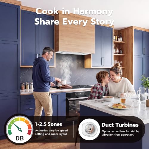 Image of 36 inch Range Hood Insert, 900 CFM Ducted /Ductless White Range Hood