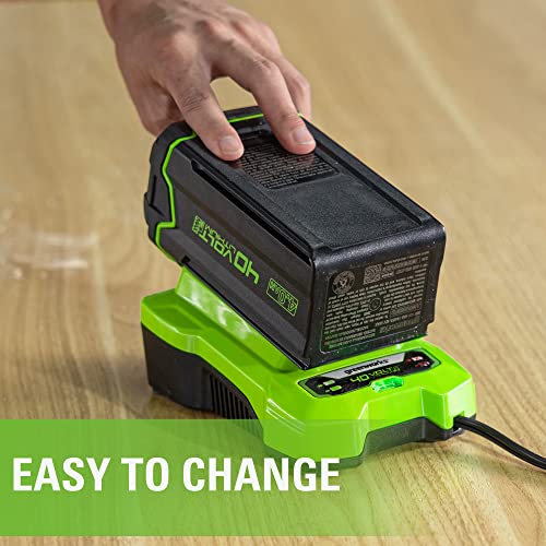 Image of Greenworks 40V Battery Charger (Genuine Greenworks Charger)