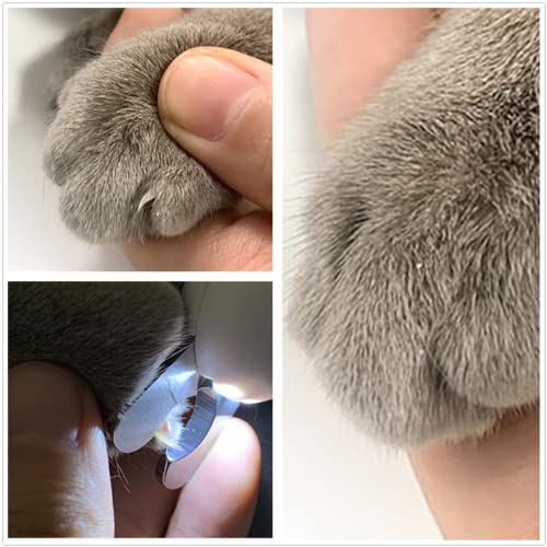 Beacofrsoul Dog & Cat Pets Nail Clippers And Trimmers,With Led Lighting Safety Guard To Over Cutting, Nail File-Suitable For Small Dogs And Cats(Blue) #TOP6