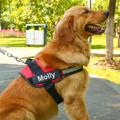 Kraftidy-Dog-Harness-with-Name-id-Customized-for-Dogs-Large-Medium-Small-Puppy-All-Breeds-No-Pull-Harness-Reflective-Vest-Harness-Belt-Adjustable-with-Personalized-Dog-Name-with-Leash-Large-Dogs