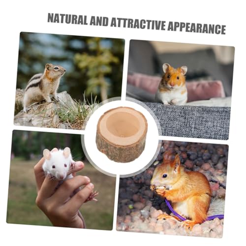 MOTHNUR pؐH nX^[ ETM XΉ eʐH~ ]|h~݌v aȒP ybgP[Wt ȃXy[XłyX