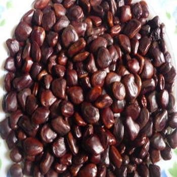 PE Imli-Tamarind Seed (250 Gm) - Tamarind Seed (B072HFGSZR) Amazon Price History, Amazon Price Tracker