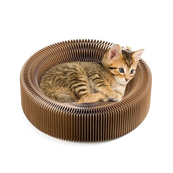 Collapsible cat scratcher lounge bed, cardboard cat bed, corrugated pet scratcher pad, round cat scratching bed nest for indoor big large kitty kitten cats