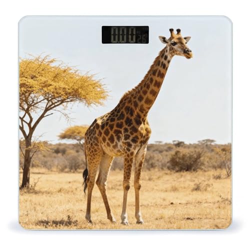 Báscula digital de baño precisa y estable BTCOWZRV miniatura 1