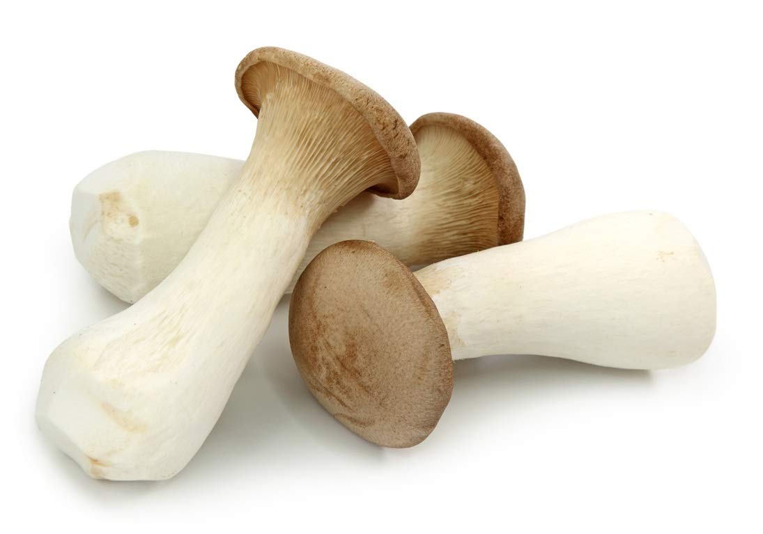 Hawlik Pilzbrut- XXL set de cultivo de setas a base de hierbas orgánicas para el cultivo de su propio (lat. Pleurotus eryngii) - crecer sus propias setas orgánicas