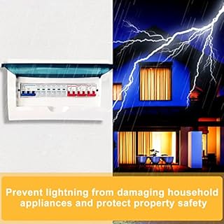 Protezione Sovratensione Pv Scaricatore Di Sovratensione Ac: Dehn Protezione Da Sovratensione 220 V Casa Protezione Da Sovratensione Scarico Fulmini 2p 40ka Scarico a Bassa Tensione Per Casa Scuole