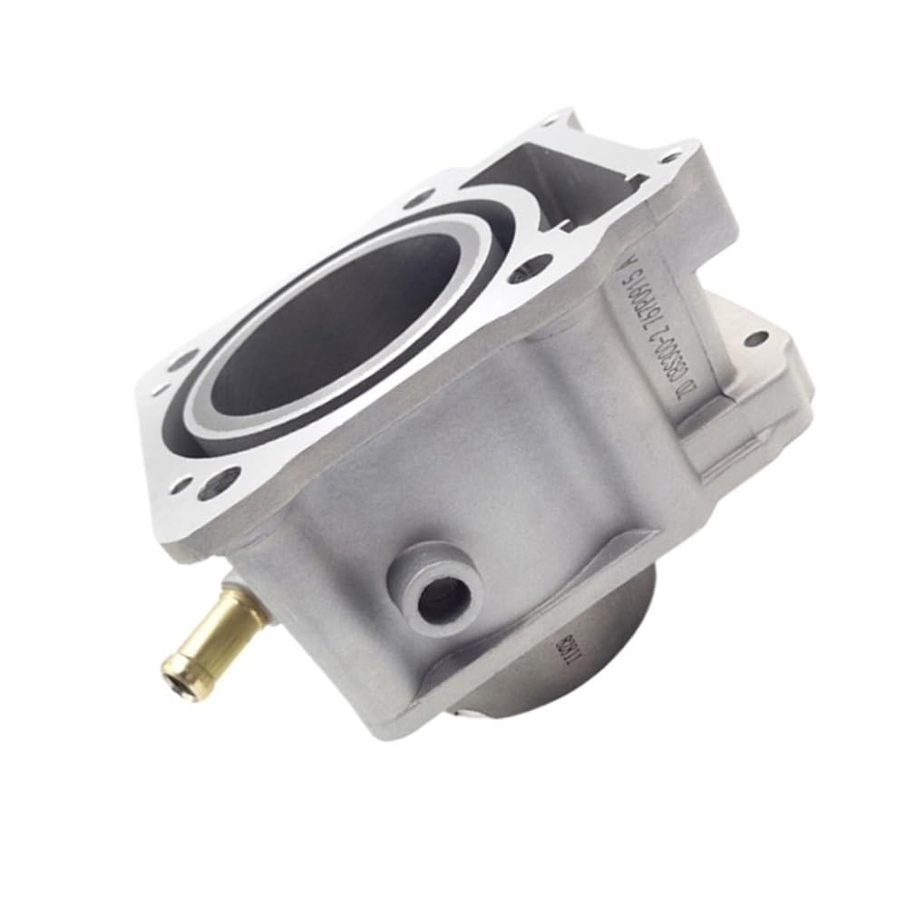 Cilindro para Zongshen CBS300 que elimina fugas de motor 2