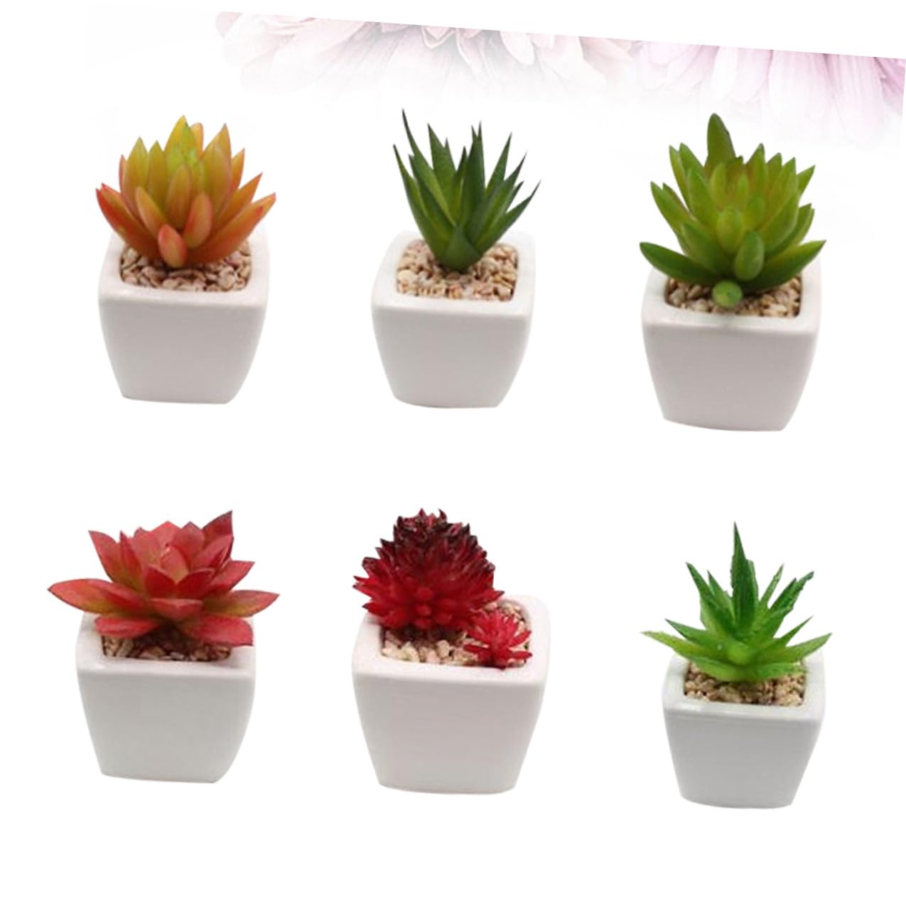 Mipcase 6 Pièces Succulente Artificielle en Céramique Blanche Mini Bonsaï