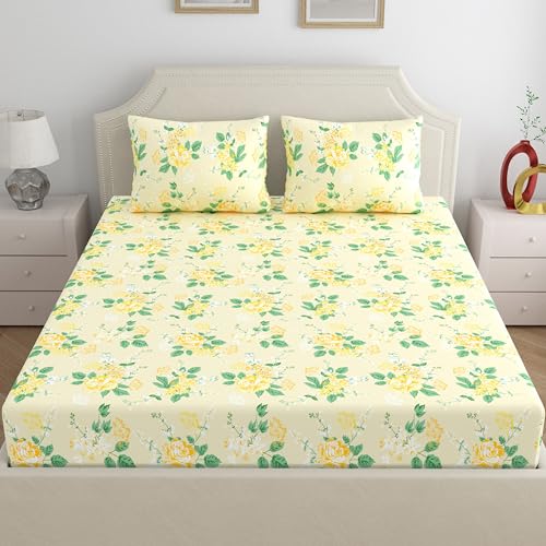 Image of Home Ecstasy 100% Cotton King Fitted Bedsheet with 2 Pillow Covers - (Size 72 x 78 inches, 140 TC, Colour - Cream: Gilded Cream)