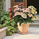 HONGRUICRAFT Artificial Daisy Bouquet, Mixed Color Outdoor Flowers with Red, Pink, White Blooms, Realistic Floral Arrangement for Garden, Patio, Home Decor (8, Mix 4 Colors)