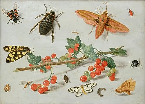 Toile art mural Jan Van Kessel chef-d'œuvre peinture à l'huile pour intérieur chic
