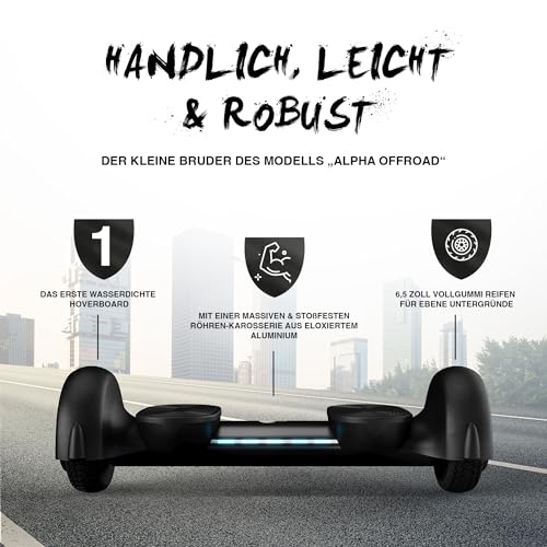 Hoverboard Wheelheels Balance Scooter Alpha Mini 6.5 Zoll
