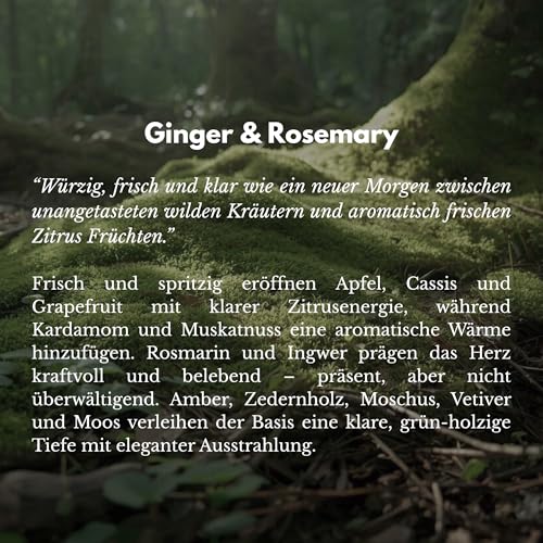BOHORIA® Raumspray Hotel Scents Air Spray 500 ml – Raumduft für Boutique Hotel Feeling – Home Perfume Lufterfrischer (Ginger & Rosemary)