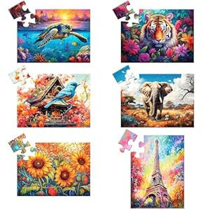Set van 6 16 grote puzzelstukjes voor senioren, puzzels, dementie, producten van Alzheimer en activiteiten, Alzheimer-puzzel, oudere volwassenen, cognitief spel, cadeau voor patiënten in het