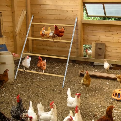image for BESBLEE Chicken Coop Roosting Perch Essentials：Perfect for Backyard 