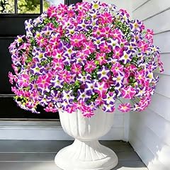 Mixed Purple Rose Red