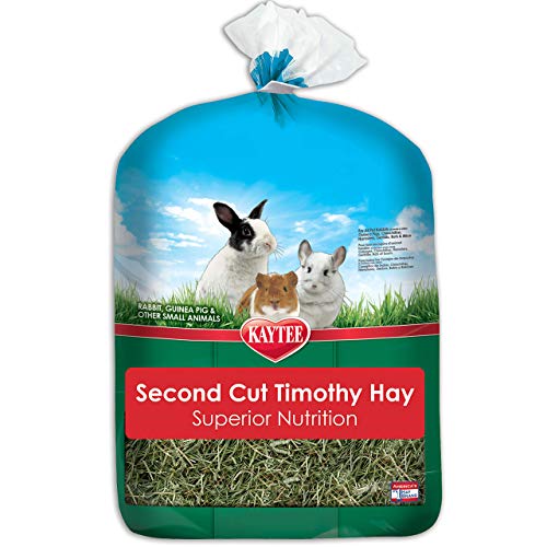 The Best Rabbit Hay 2022 Guide & Reviews Animal Corner