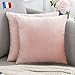 Douceur De Plumes Lot de 2 Housse de Coussin Rose Poudré Pale Velours 40x40 cm Uni, Taie d'oreiller Carré Doux et Moderne pour Salon Scandinave, Pink Canapé (2 Rose Poudré)