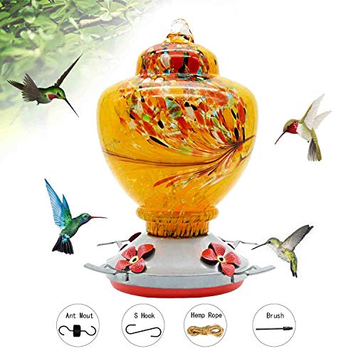 Hummingbird Feeder for Outdoors, Hand Blown Glass,32 Fluid Ounces Humming Bird Feeder, Containing Ant Moat,Hook,Cleaning Brushes
