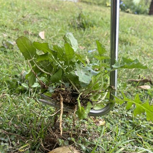 Extrator manual de ervas daninhas de 40,6 cm é feito de aço inoxidável ferramenta de remoção de erva