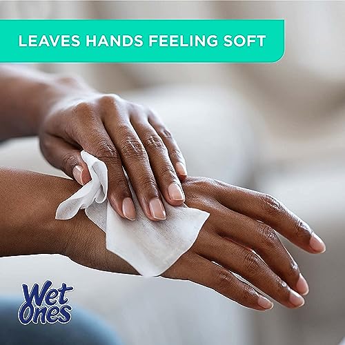 Image of Wet Ones Mixed 13 Piece Bundle of Human & Pet Wet Wipes, Hypoallergenic | 10 Packs Sensitive Skin Hand and Face Wipes, 20 Ct Plus 3 Packs for Pets Hypoallergenic Dog Wipes, 100ct