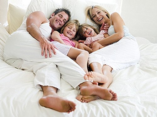 image for Måløv Linen Luxurious Finish Comfortable Sleeper Sofa Bed Sheets Set