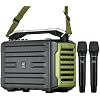 WinBridge 200W Portable PA System with 2 Wireless Mics, IPX4 Waterproof Bluetooth Speaker, Rechargeable All-in-One Karaoke Machine for Outdoor Parties, Weddings, School Events and Public Speaking