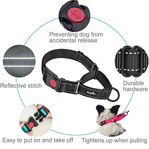 haapaw 2 Packs Martingale Dog Collar with Quick Release Buckle Reflective Dog Training Collars for Small Medium Large Dogs