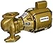 Armstrong 174031-043 1/12 Horsepower S-25 In-Line Circulator Pump
