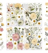 LUXEEASE 80 Pcs Dried Flowers for Crafts, Real Natural Dried Pressed Flowers in Soft Yellow, Whit...