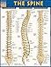 The Spine QuickStudy Laminated Reference Guide (Quick Study Academic)