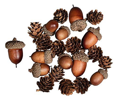 Rayher 55922000 Surtido de bellotas y piñas, 2-4 cm, 27 piezas, para decoración