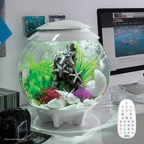 Amazon.co.jp: biOrb（バイオーブ）: 水槽