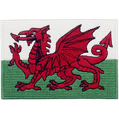 EmbTao Wales Flag Patch Embroidered Welsh Applique Iron On Sew On Emblem Cover