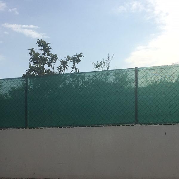 View 3