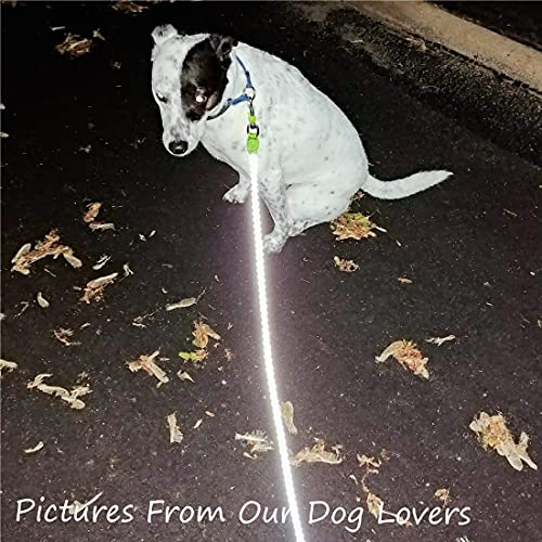 Mycicy 3/4/6/10 Ft Reflective Dog Leash, Nylon Rope Braided Heavy Duty Dog Training Leash For Large Medium Small Dogs Walking Lead (Green 6Ft) #TOP6